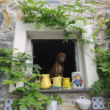 Rustico Tra Gli Ulivi