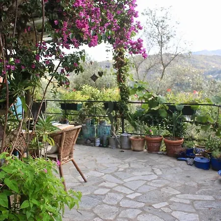 Rustico Tra Gli Ulivi Vakantiehuis *