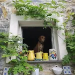 Rustico Tra Gli Ulivi