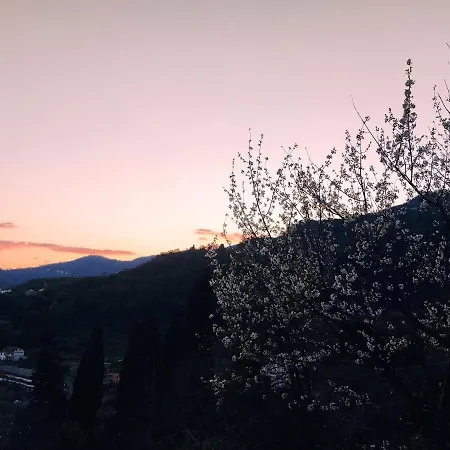 Rustico Tra Gli Ulivi Rapallo