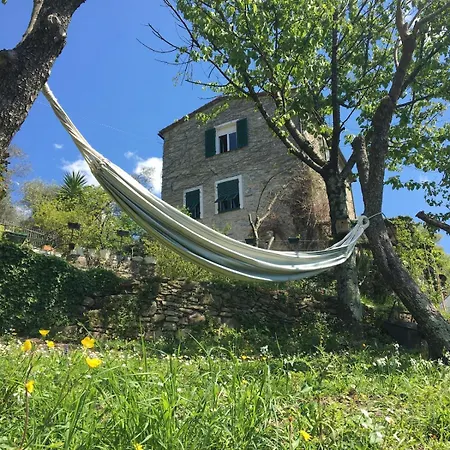 Rustico Tra Gli Ulivi Holiday home *