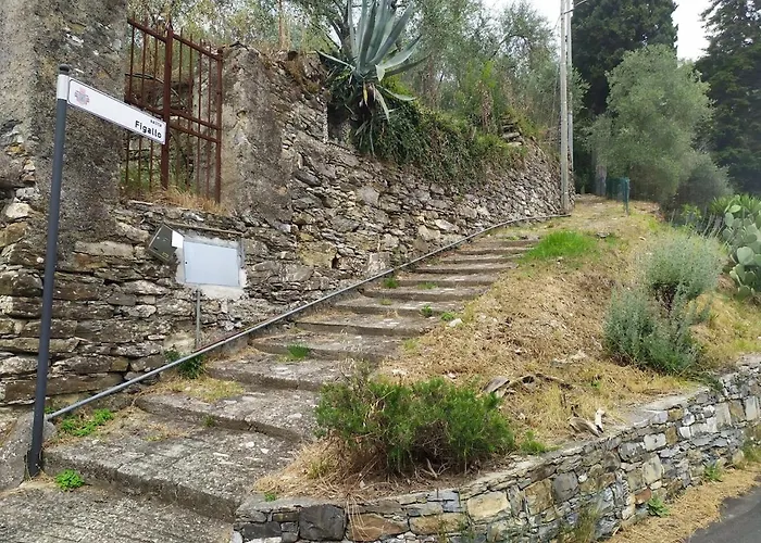 Rustico Tra Gli Ulivi בית נופש ראפאלו