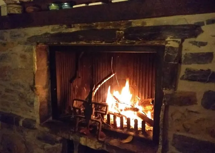 Rustico Tra Gli Ulivi Semesterbostad *