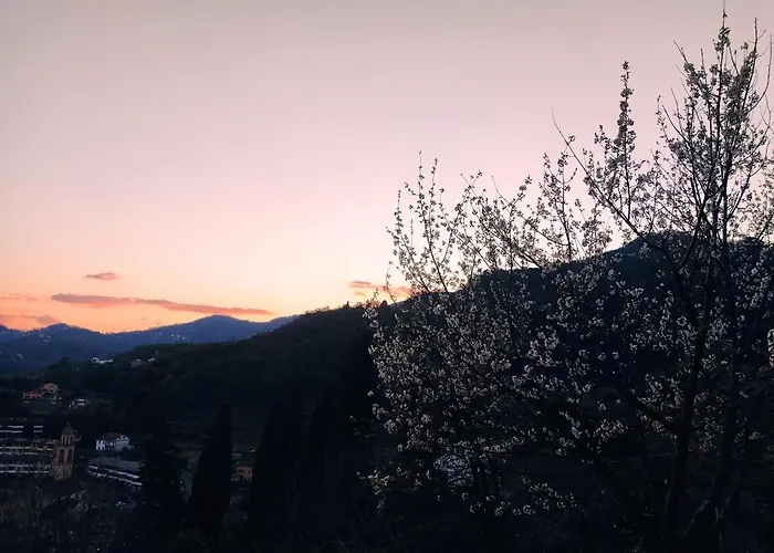 Rustico Tra Gli Ulivi ראפאלו