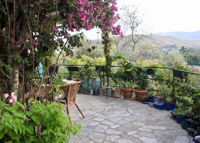 Rustico Tra Gli Ulivi בית נופש *