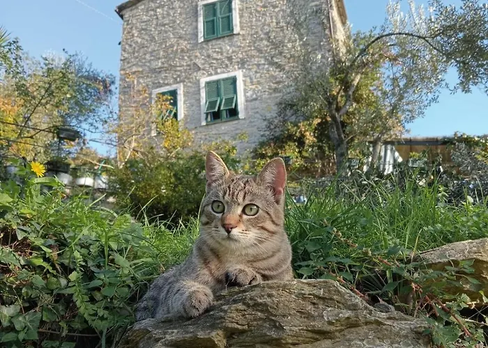 בית נופש Rustico Tra Gli Ulivi *